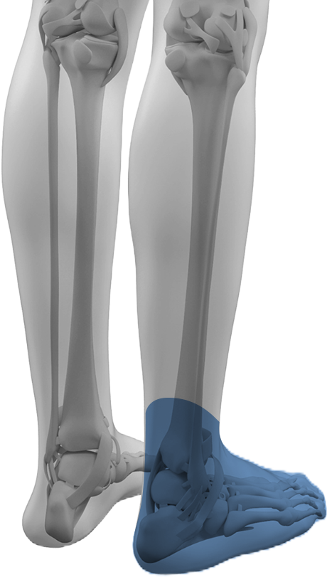 발목 & 발 세부내용