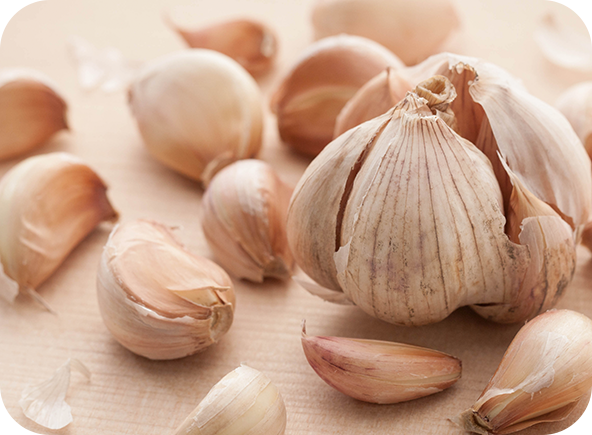 마늘주사 이미지