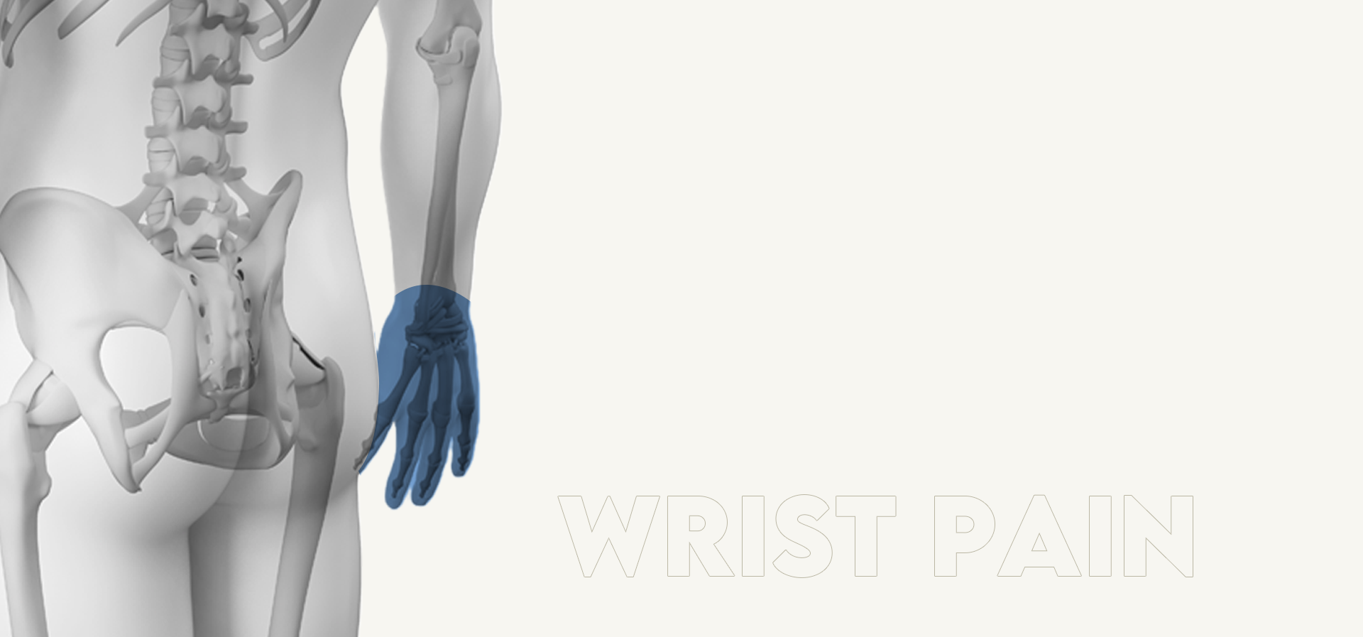 손&손목 세부내용